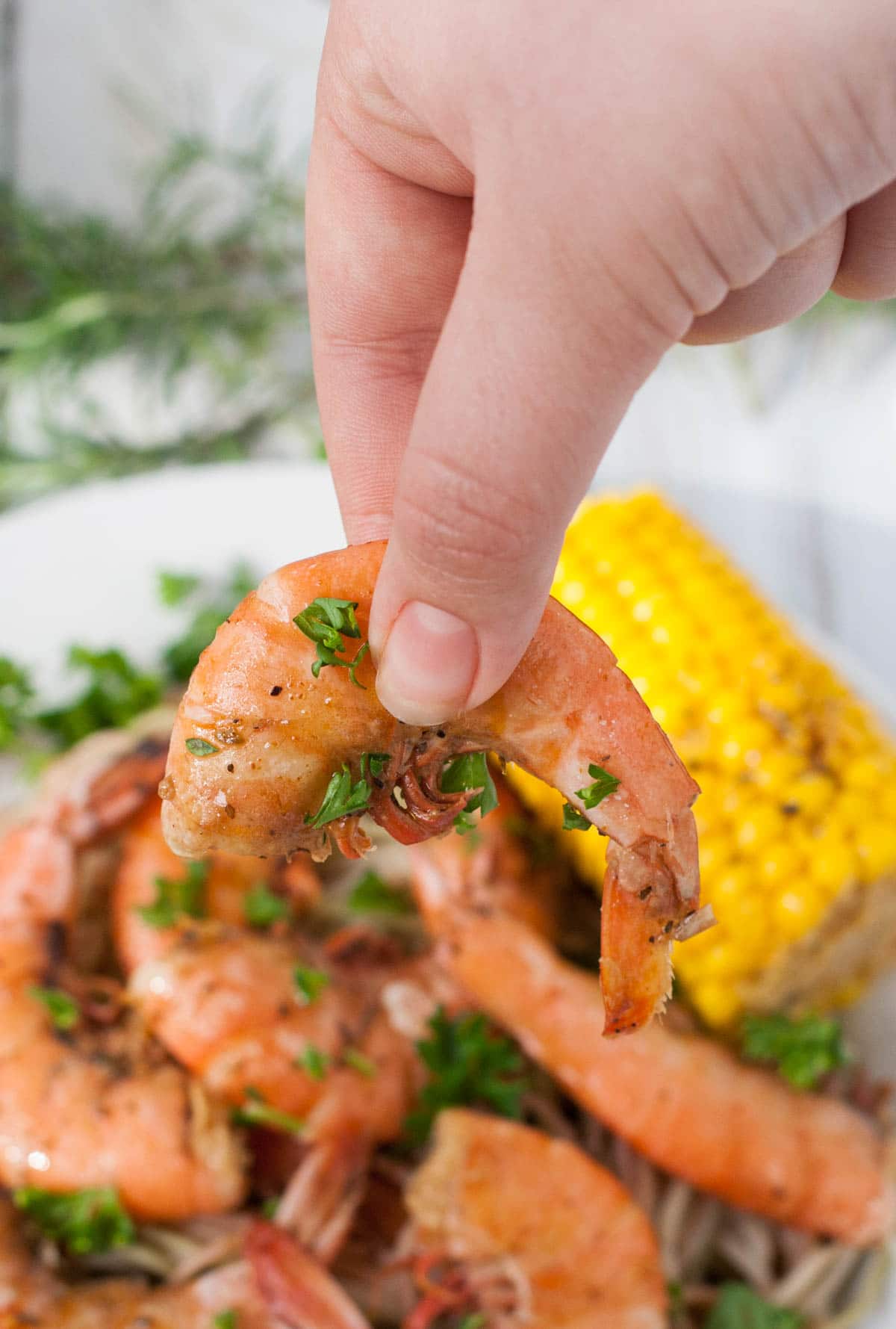 Bayou Shrimp Pasta | WorldofPastabilities.com | Zesty Cajun Bayou Shrimp Pasta is the must do beach recipe! Simple to make it delivers a ton of flavor. Get messy and have fun with the entire family!