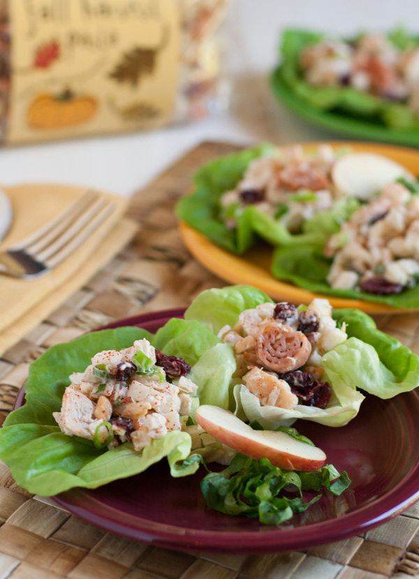 Pasta with Tuna, Apple, and Dried Cranberries | A wonderful lunch or snack any time of the year! Crunchy & healthy, it'll be your new family favorite! | WorldofPastabilities.com