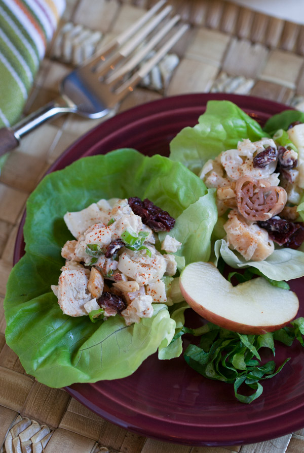 Healthy Tuna Salad with Apple, Veggies, and Cranberries - Our Sweetly  Spiced Life